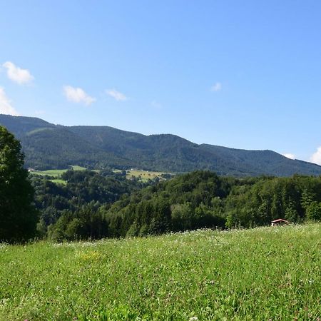 Apartamento Teisenbergblick Teisendorf Exterior foto